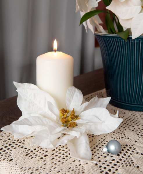 beautiful-white-poinsettia-assortement